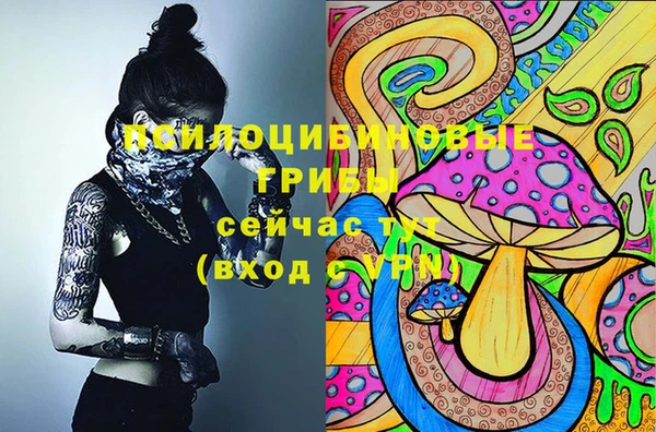 прущий лед Армянск