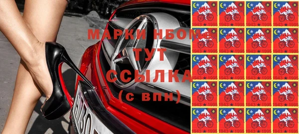 прущие грибы Аркадак