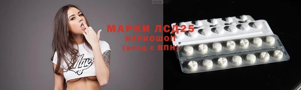 прущие грибы Аркадак