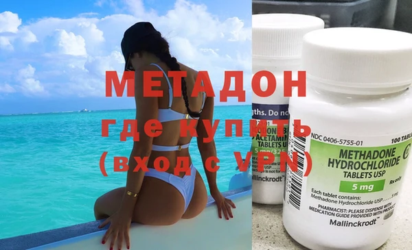 прущие грибы Аркадак