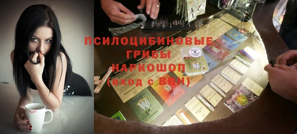 эйфоретик Арсеньев