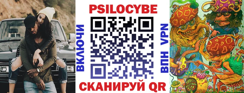 купить   Рошаль  Псилоцибиновые грибы мицелий 