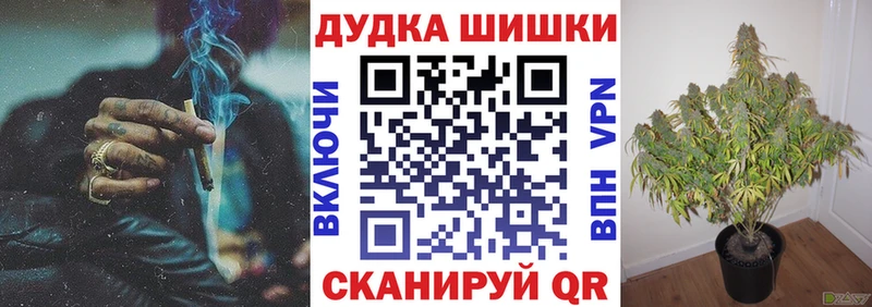 что такое   Рошаль  Бошки марихуана план 